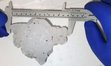 ‘The largest documented hailstone’: Environment Canada says it fell Monday in Alberta  | Globalnews.ca